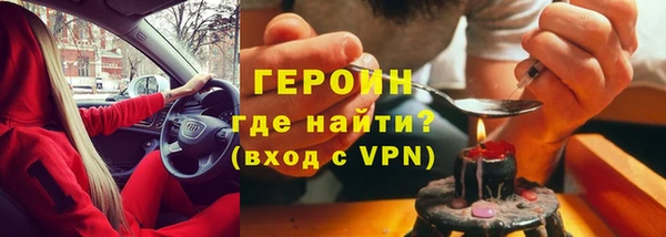 гашик Алексин
