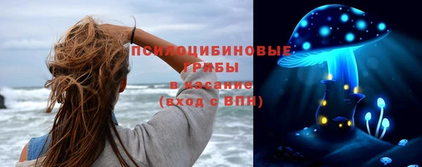 PSILOCYBIN Алексеевка