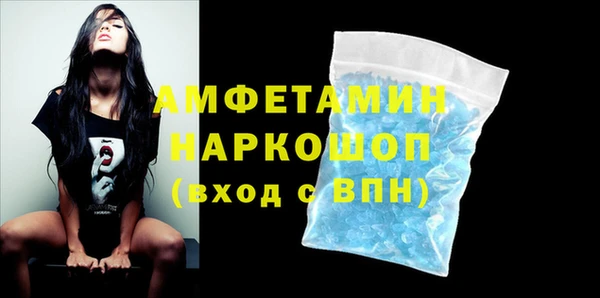 гашик Алексин