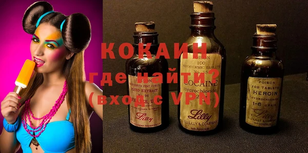 гашик Алексин