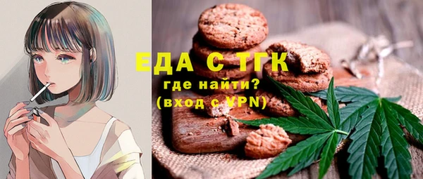 гашик Алексин