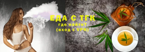 СК Новозыбков