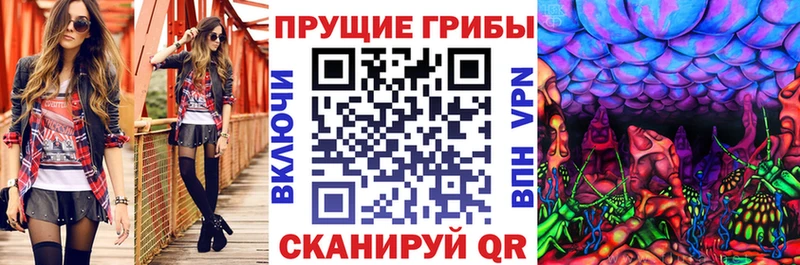 хочу наркоту  Сунжа  Галлюциногенные грибы MAGIC MUSHROOMS 