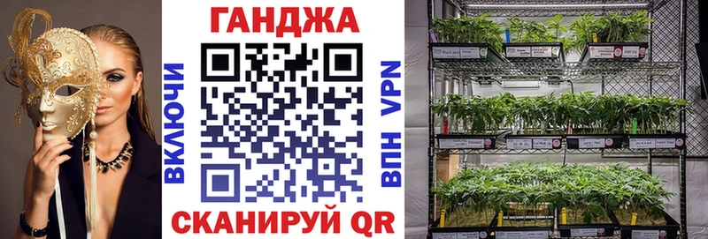 Бошки Шишки ГИДРОПОН  как найти   Сунжа 